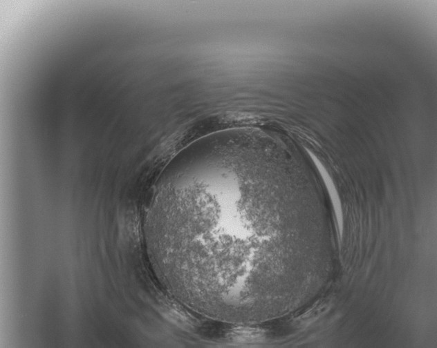 X0000060570617200511101631