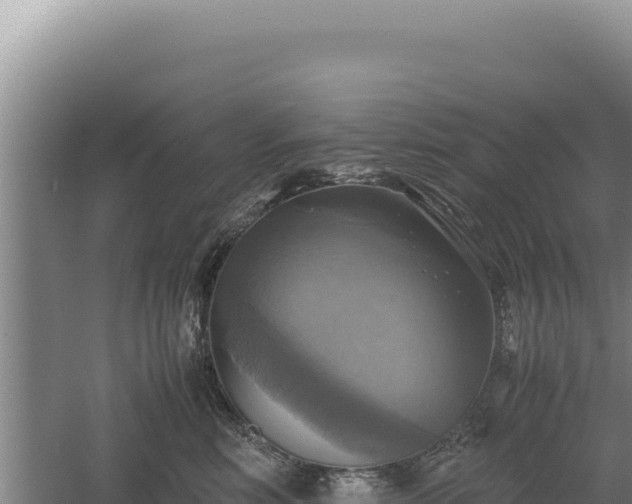 X0000060570618200511101631