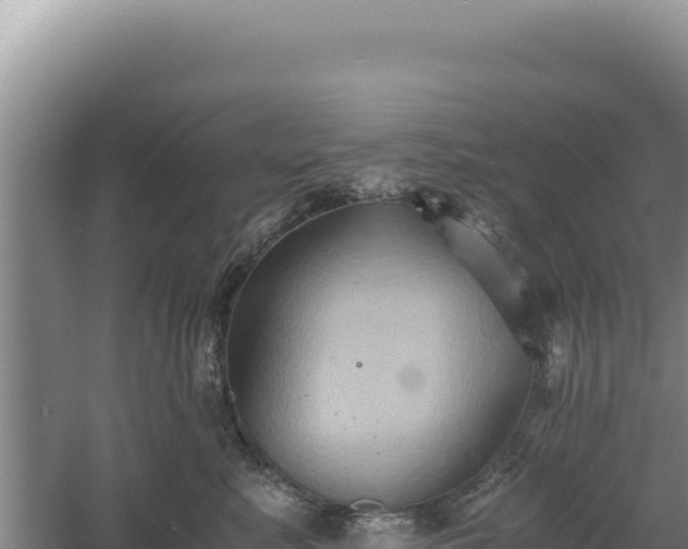 X0000060570619200511101631