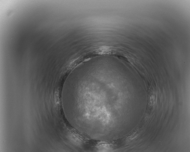 X0000060570620200511101631