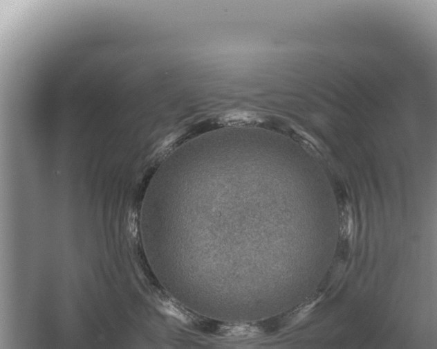 X0000060570621200511101631