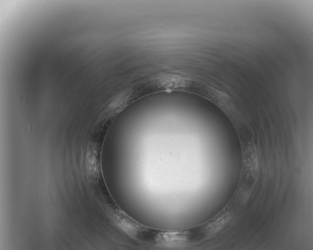 X0000060570622200511101631