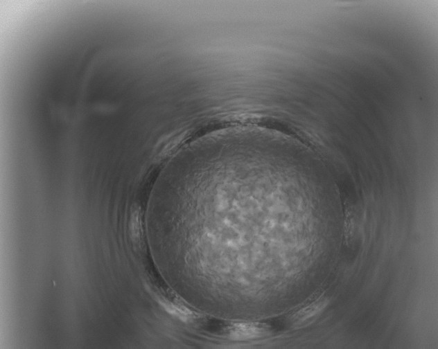 X0000060570623200511101631