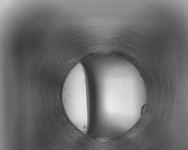 X0000060570624200511101631