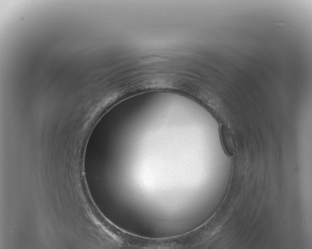 X0000060570625200511101630