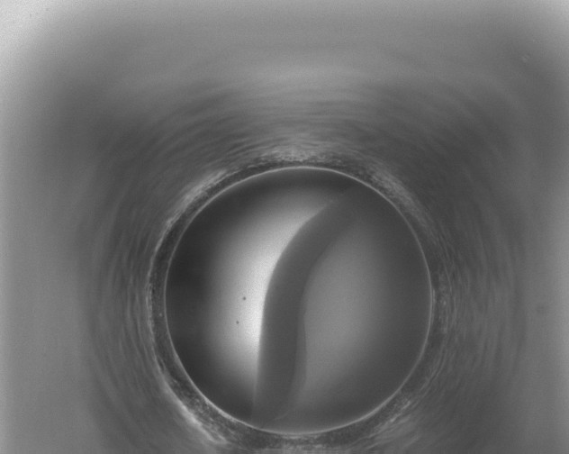 X0000060570626200511101630