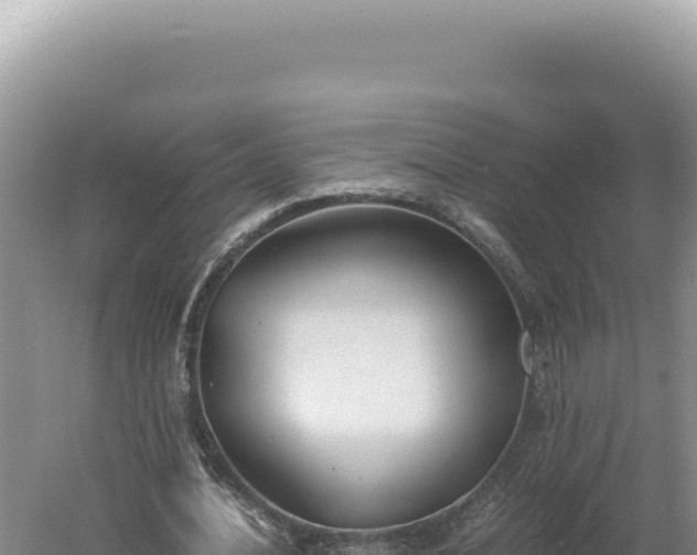 X0000060570628200511101630