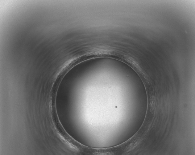 X0000060570629200511101630