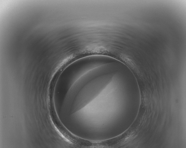 X0000060570630200511101630