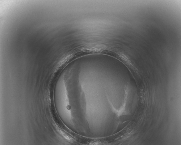 X0000060570634200511101630