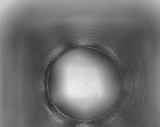 X0000060570635200511101630