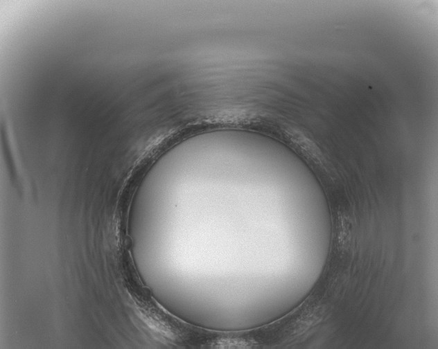 X0000060570636200511101630