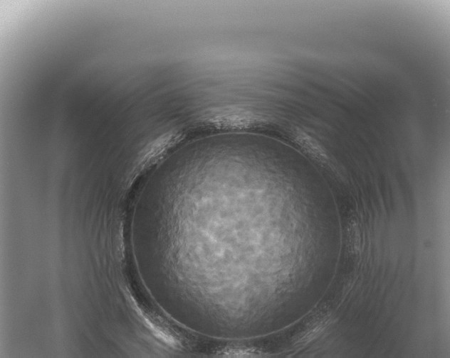 X0000060570638200511101630