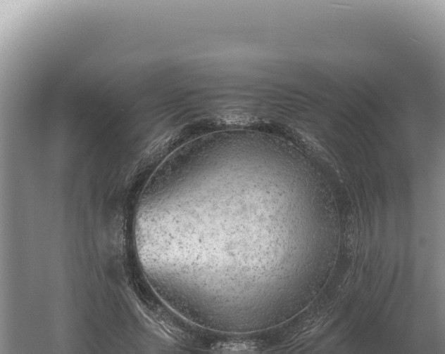 X0000060570639200511101630