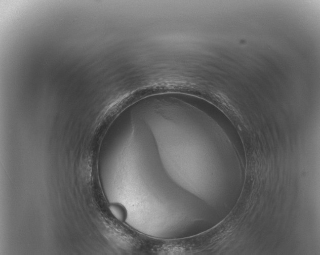 X0000060570640200511101631