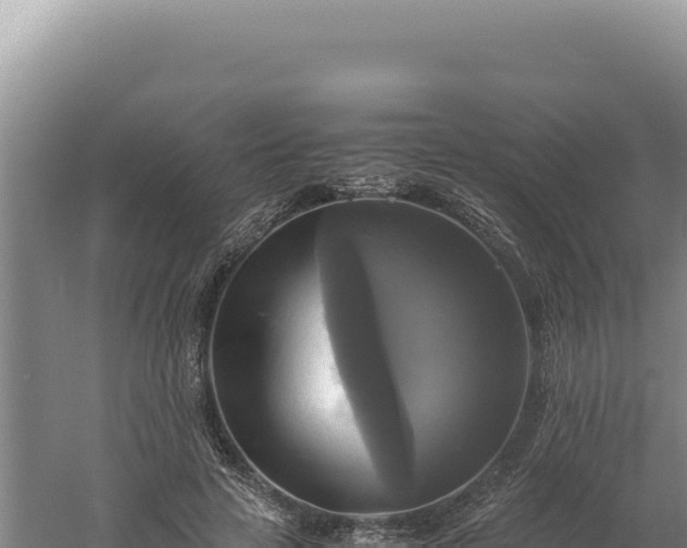 X0000060570641200511101631