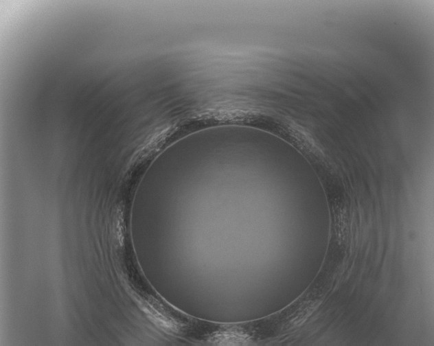 X0000060570644200511101631