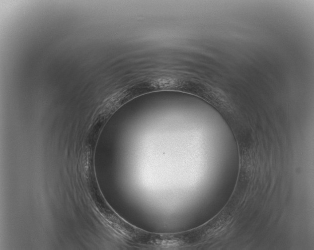 X0000060570645200511101631