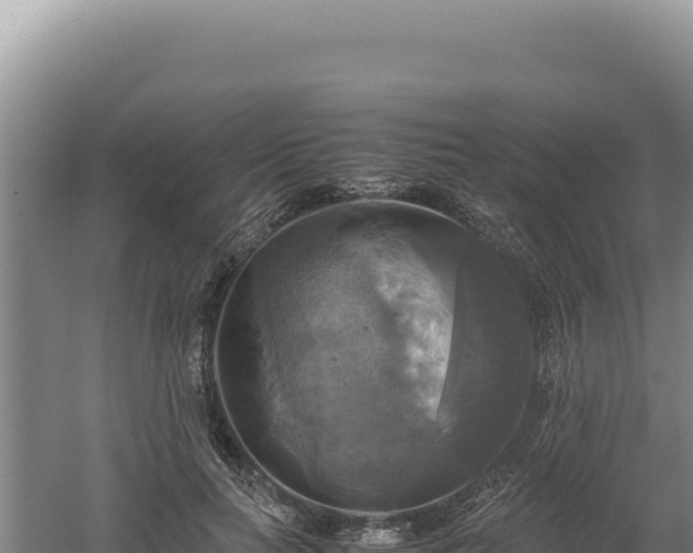 X0000060570647200511101631