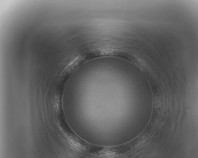 X0000060570648200511101631