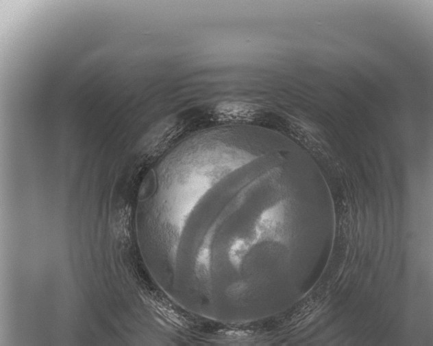 X0000060570649200511101631