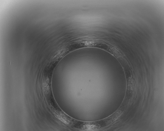 X0000060570650200511101631