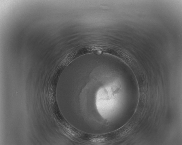 X0000060570653200511101631