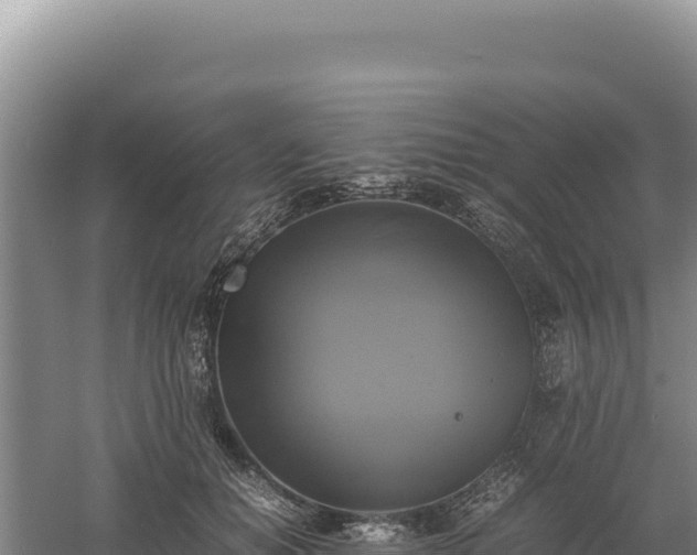 X0000060570654200511101631