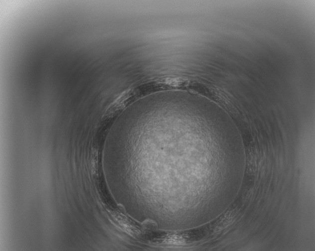 X0000060570656200511101631