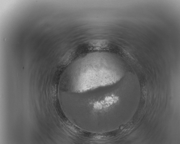 X0000060570657200511101631