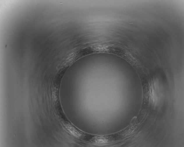 X0000060570658200511101631