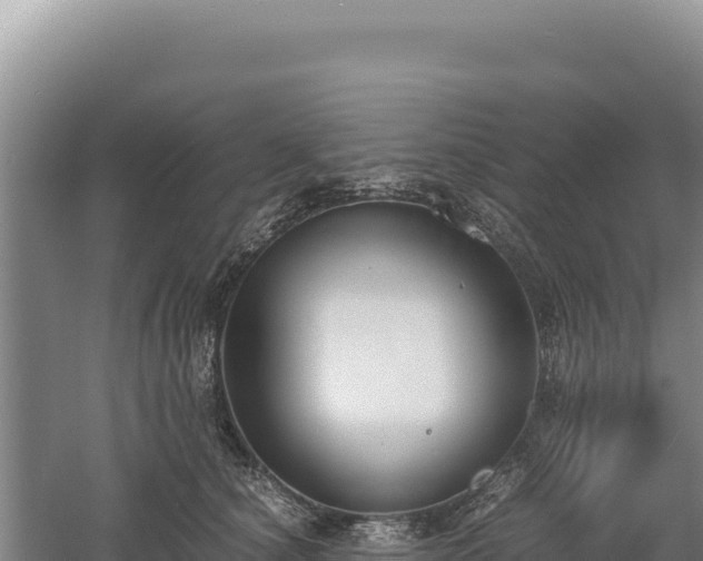 X0000060570660200511101631