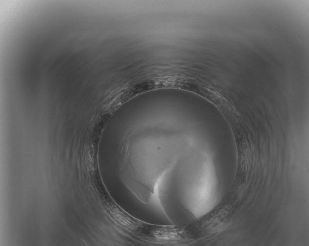 X0000060570661200511101631