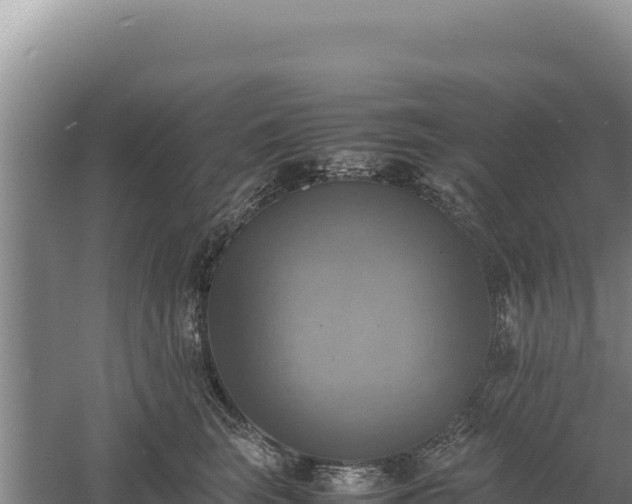 X0000060570663200511101631