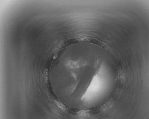 X0000060570664200511101631