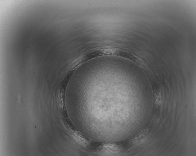 X0000060570666200511101631