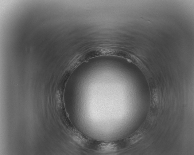 X0000060570667200511101631