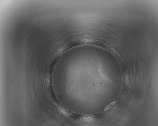 X0000060570668200511101631