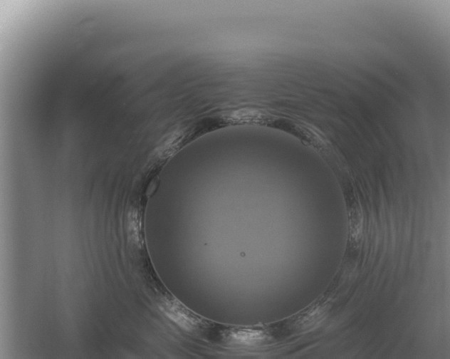 X0000060570669200511101631