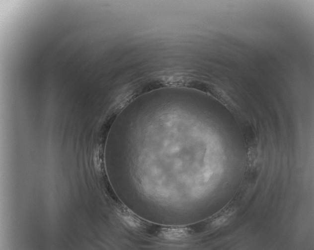 X0000060570671200511101631