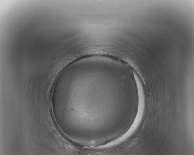 X0000060570673200511101630