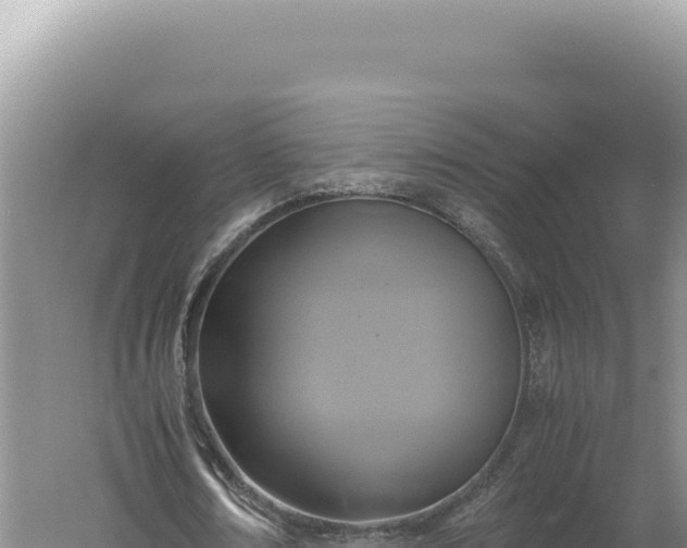 X0000060570674200511101630