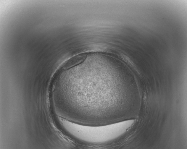 X0000060570676200511101630