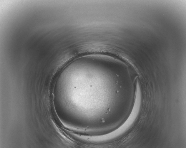 X0000060570677200511101630