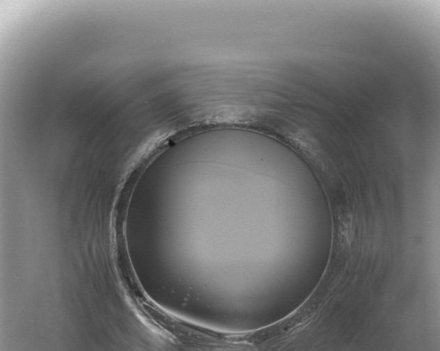 X0000060570678200511101630