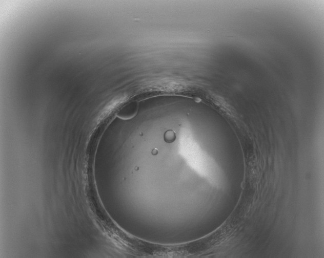 X0000060570679200511101630