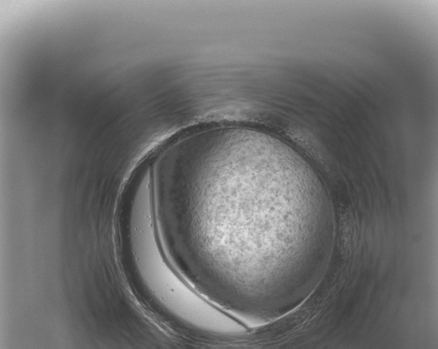 X0000060570680200511101630