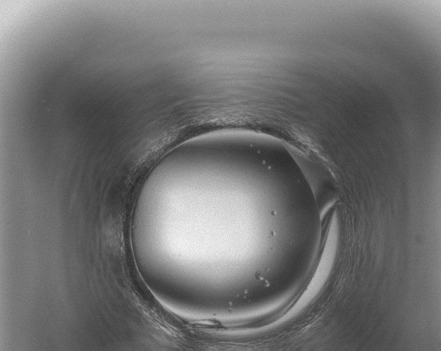 X0000060570681200511101630