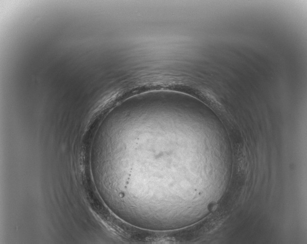 X0000060570683200511101630