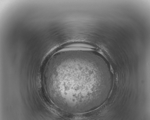 X0000060570684200511101630